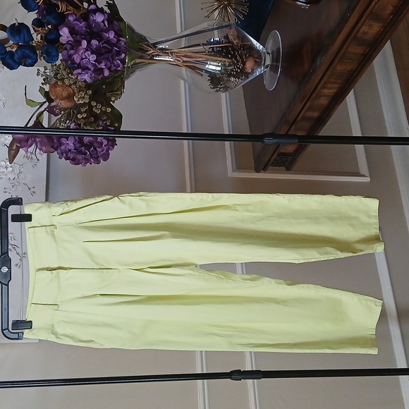 Lime High Waisted Cotton Pleated Pants By Forever 21. Size S - Picture 8 of 17
